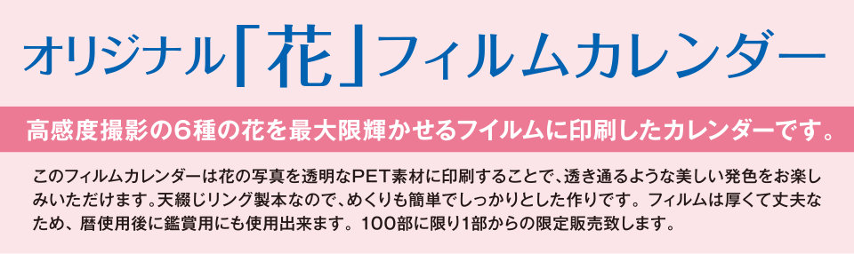 オリジナル「花」フィルムカレンダー　高感度撮影の６種の花を最大限輝かせるフィルムに印刷したカレンダーです